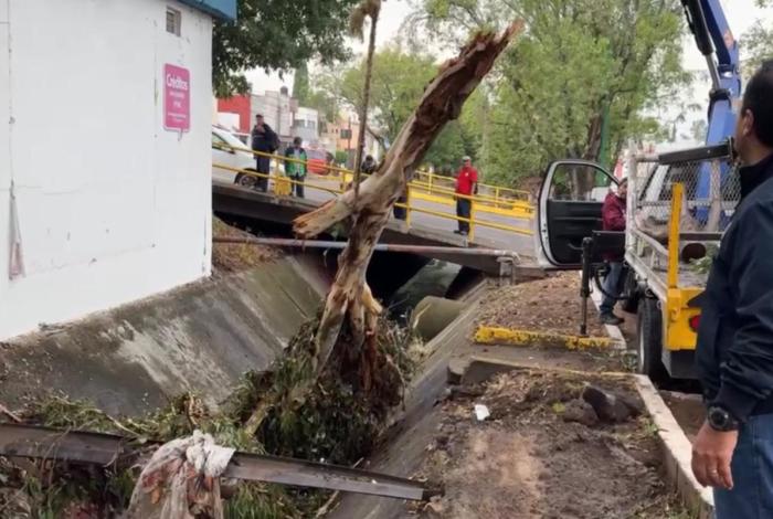 40 toneladas de basura salieron tan solo de uno de los drenes de Morelia
