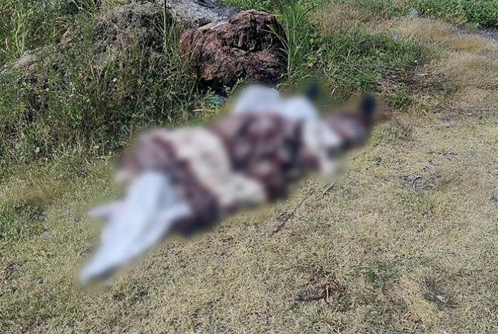 Abandonan cadáver encobijado en el camino a Acahuato