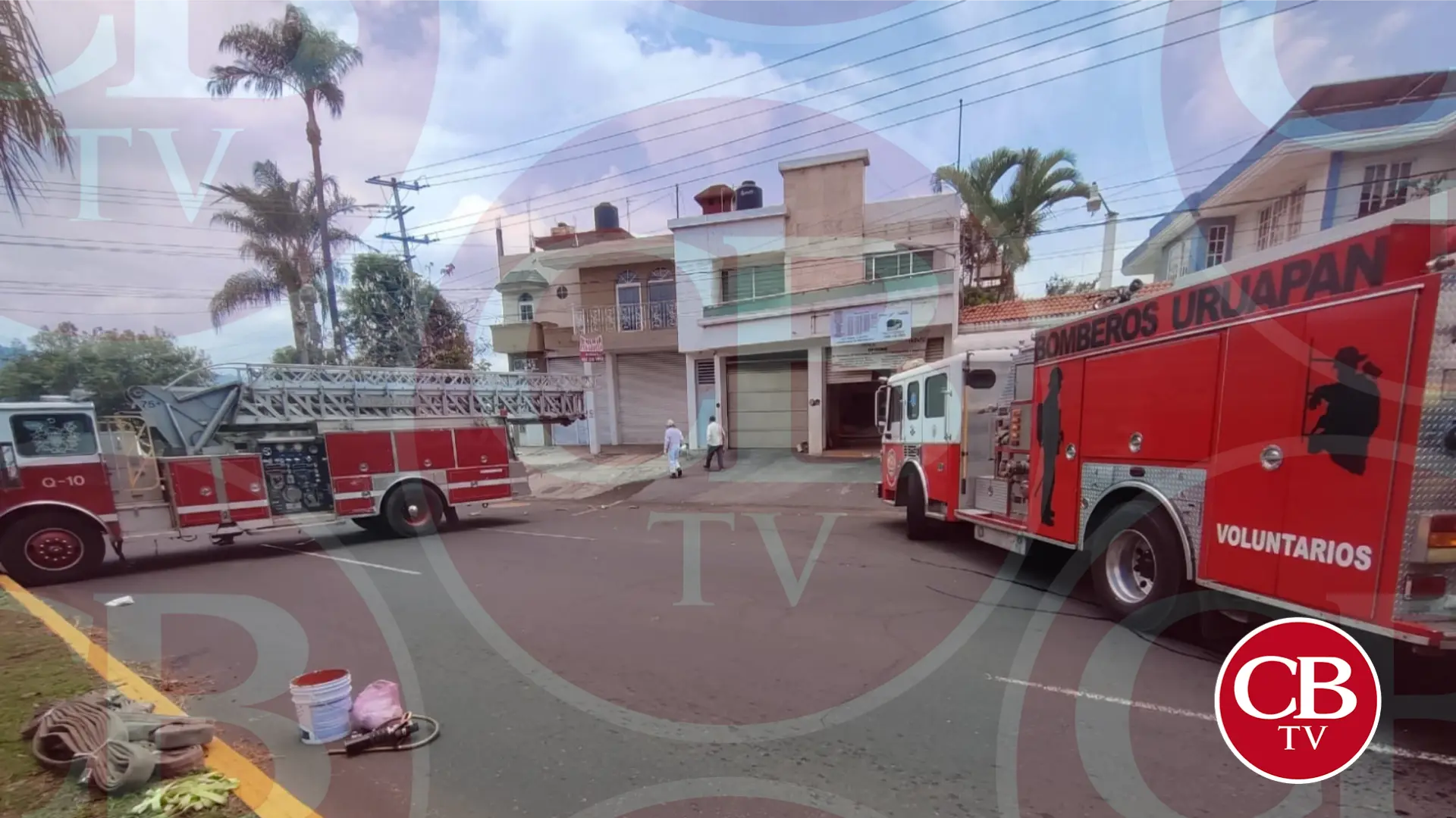 Abejas pican a seis uruapenses