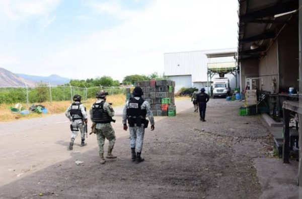 Acribillan a tres, entre ellos un menor, en empacadora de aguacate