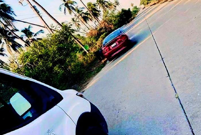 Adulta mayor muere camino al hospital, tras ser atacada por enjambre de abejas