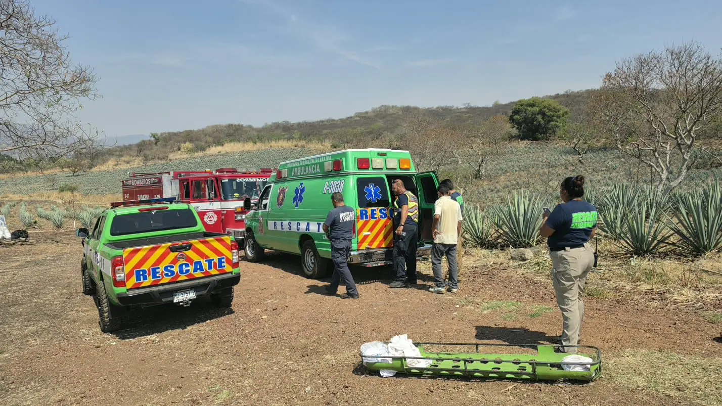 Adulto mayor es atacado por abejas, en el cerro de La Beata