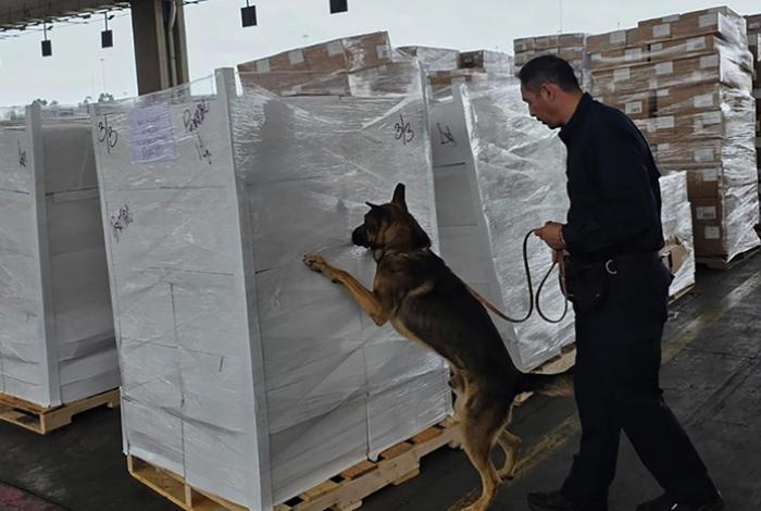 Agentes aduanales y de la GN aseguran 1.3 toneladas de metanfetamina y 10 kilos de fentanilo en Tijuana