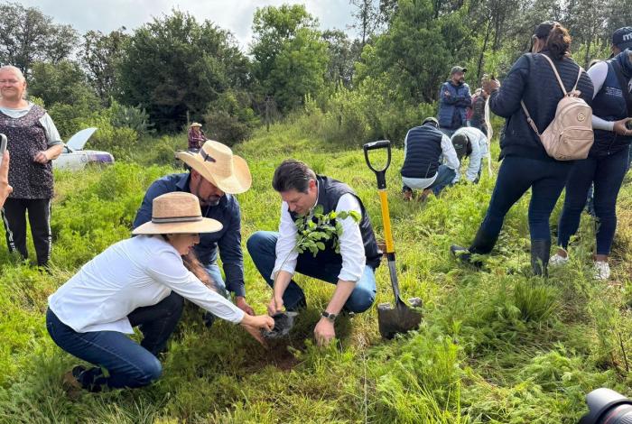 Al menos 30 mil árboles plantará en temporada de reforestación 2026