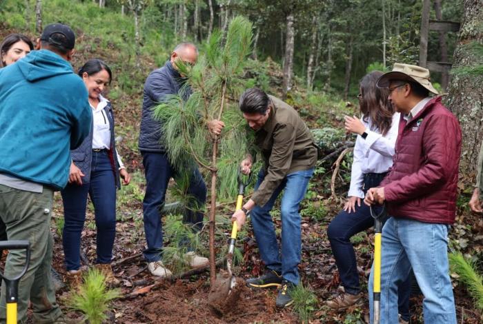 Alfonso Martínez afianza liderazgo ambiental con nombramiento de Ciudad Árbol