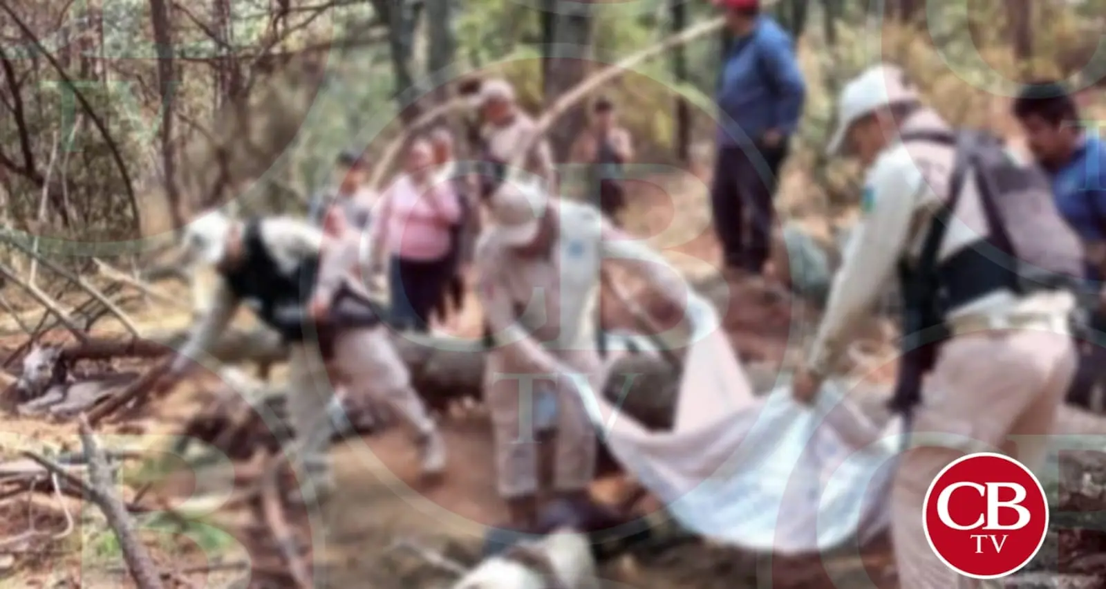 Anciano muere aplastado por un árbol en Santa Fe de la Laguna