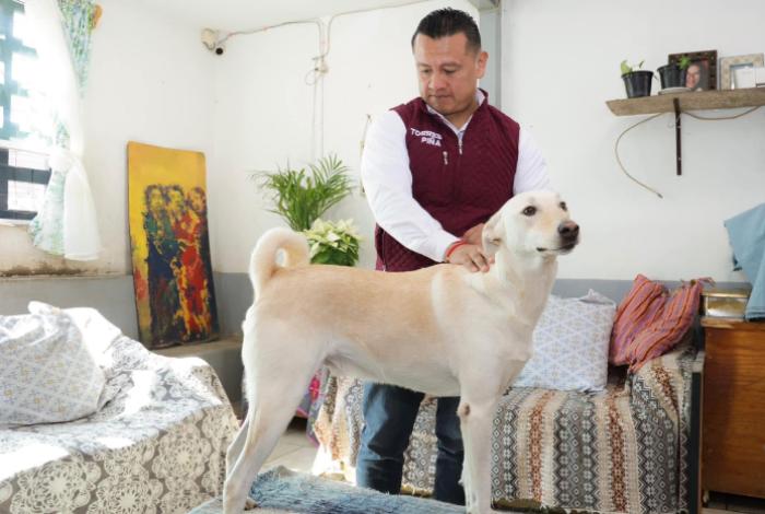 Animalistas se suman a respaldo a Carlos Torres Piña rumbo a la Fiscalía General de Michoacán