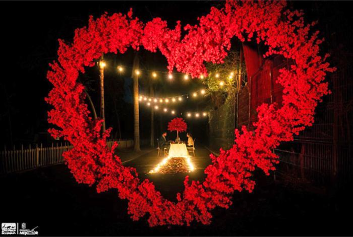 ¡Anímate! Por 3 mil 200 pesos vive una cena romántica con tu pareja en el Zoo de Morelia, este 14 de febrero