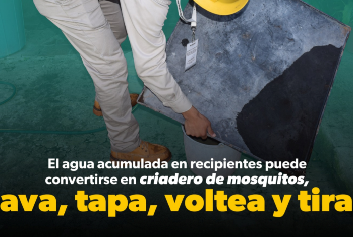 Ante temporada de lluvias, la SSM te dice cómo protegerte del dengue