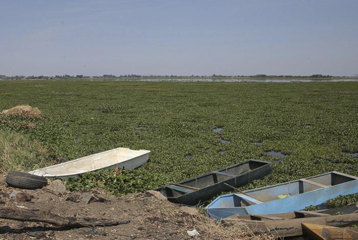 Anuncia Bedolla rescate ecológico de la presa Malpaís de Queréndaro