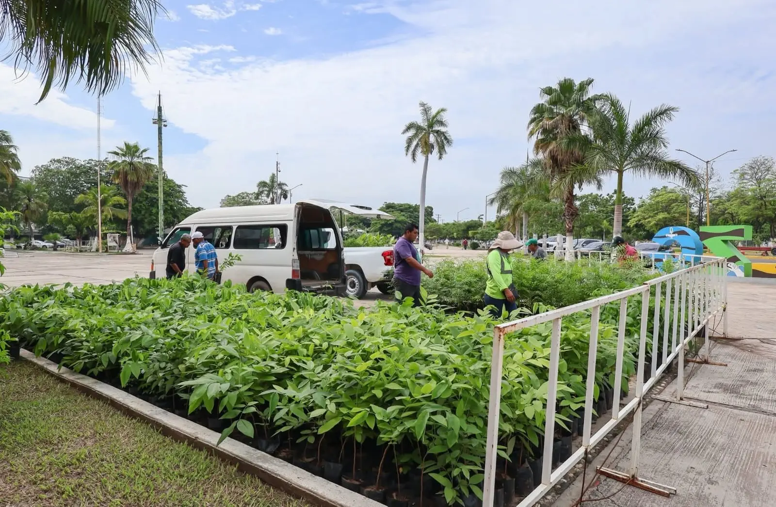 Anuncia Vivero Municipal, Entrega Masiva de Plantas