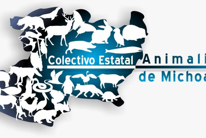 🐕‍🦺🐕 Apatzingán y Nueva Italia registran nuevo envenenamiento; colectivos demandan justicia y cárcel para agresores🐕‍🦺🐕