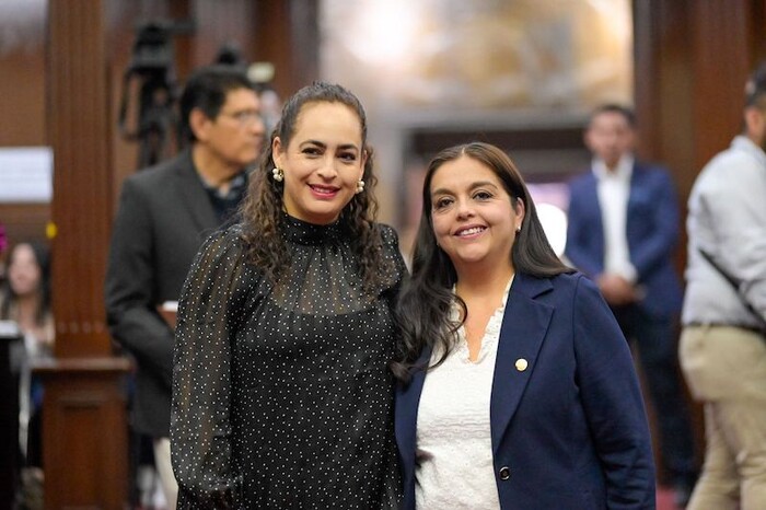 Aprueban propuesta de Tere Herrera y Sandra Arreola para prevenir violencia contra la mujer