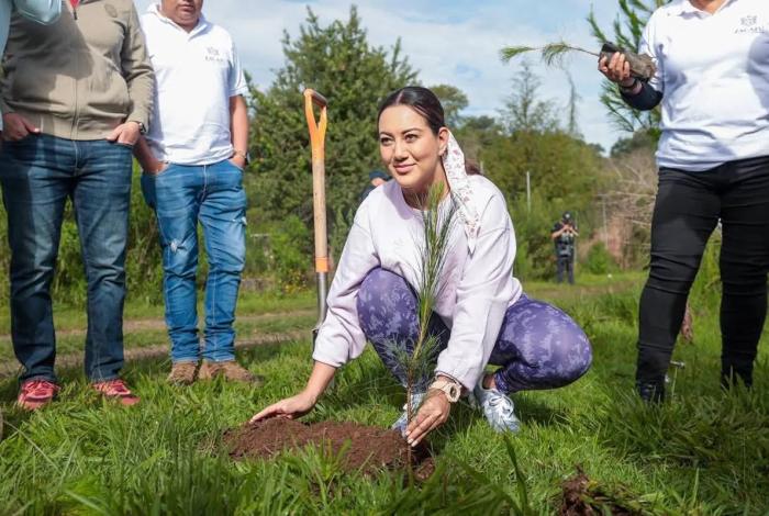 Arranca Mónica Valdez ambicioso programa de reforestación en Zacapu: 120 mil árboles por un municipio más verde