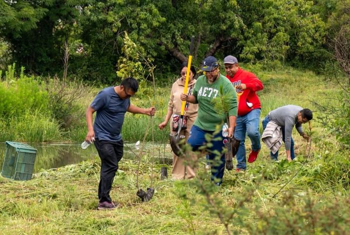Arranca reforestación en Villas del Pedregal con 3 mil árboles