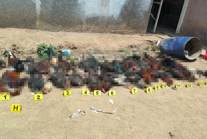 Asegura FGE 29 gallos tras ataque en palenque de El Parián, en Morelia