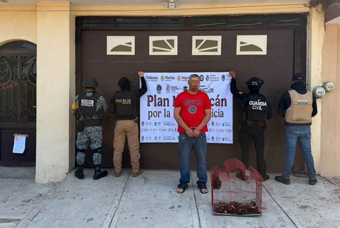 Aseguran autoridades un mono araña desnutrido en Paracho