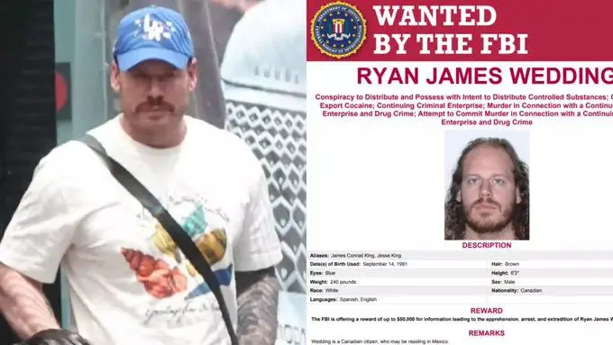 Aseguran bienes de lujo ligados a exatleta olímpico en CDMX y Edomex