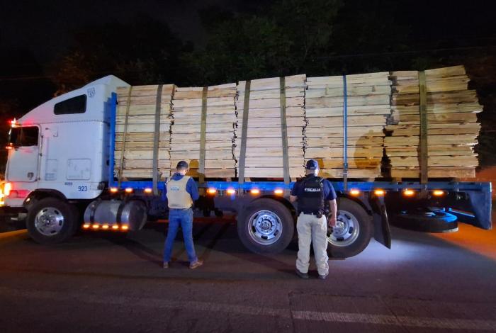 Aseguran dos vehículos con madera ilegal en Pátzcuaro