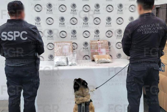 Aseguran droga en empresa de paquetería, en Morelia