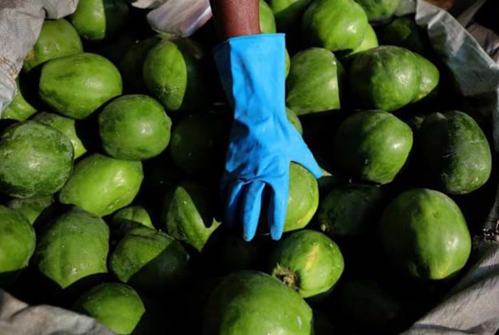 Aseguran en Texas 23 mdd en metanfetamina; estaba en cargamento de papaya mexicana