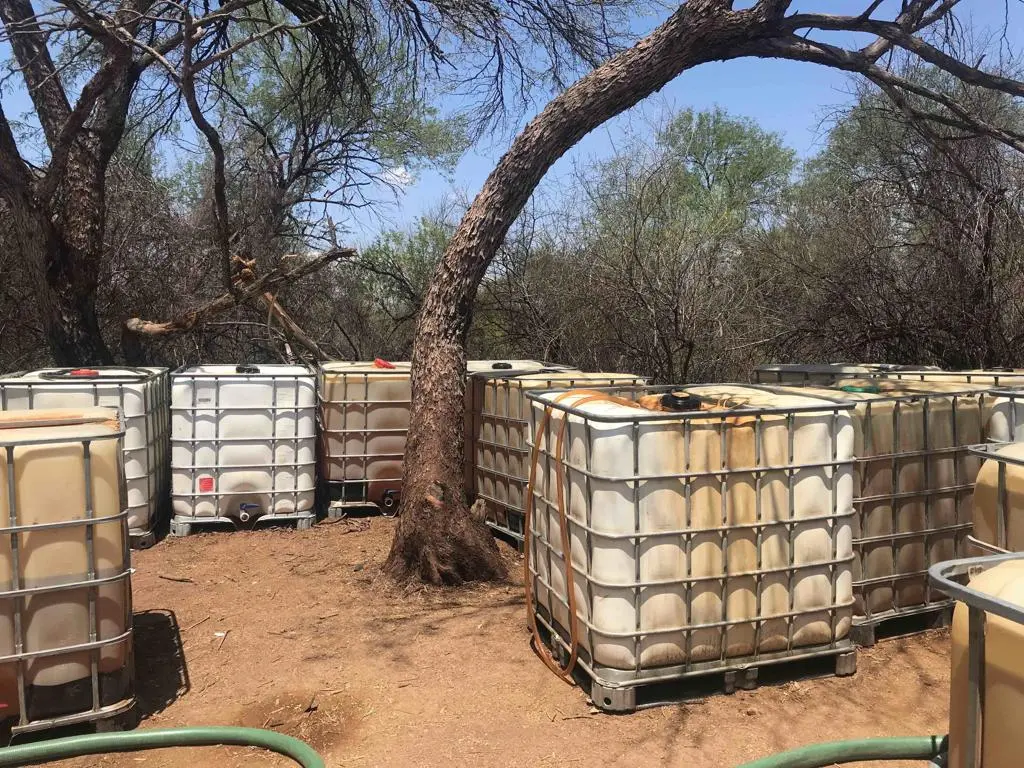 Aseguran mas de 2 mil litros de diesel tras detectar toma clandestina en Guaymas.