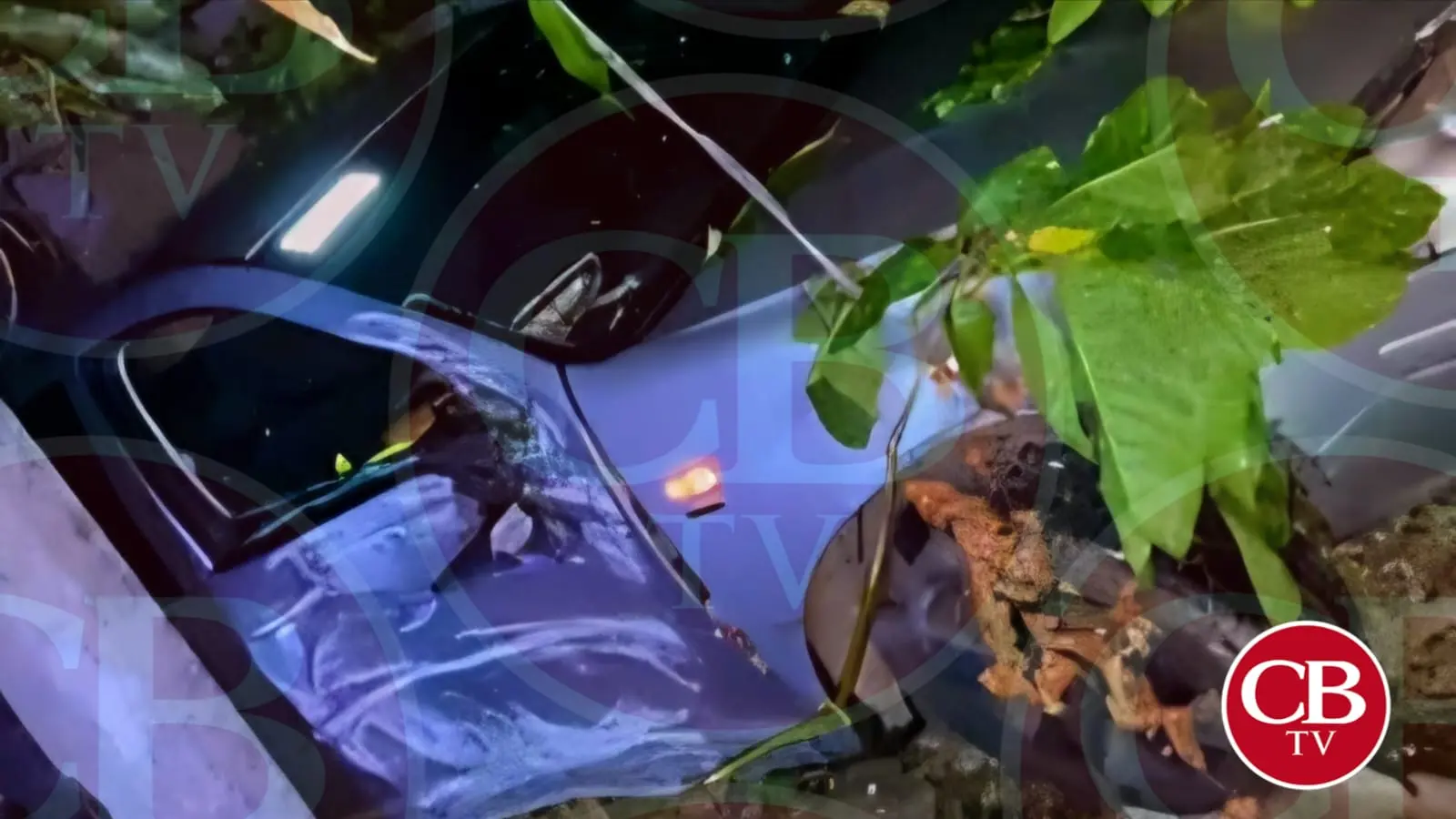 Asesinan a conductor en el camino a Pedernales