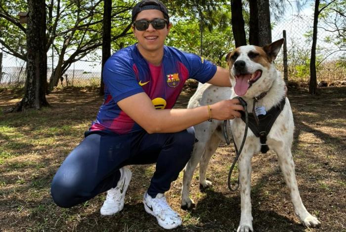 Asociaciones animalistas y La Salle impulsan diplomado en Derecho Animal