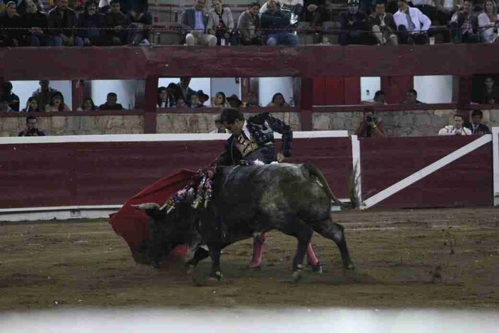  Aumento de impuestos perjudicarán a jaripeos y eventos taurinos: Ganadero