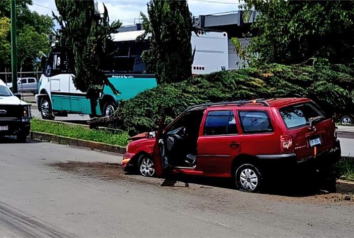 Auto choca contra árbol y lo derriba en la avenida Periodismo, en Morelia