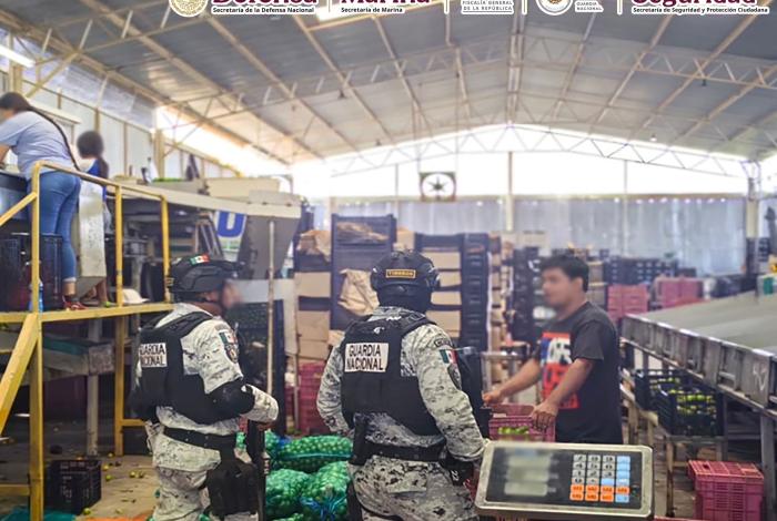  Autoridades federales y estatales detienen a 17 personas, aseguran 10 armas de fuego y vehículos, en Michoacán.