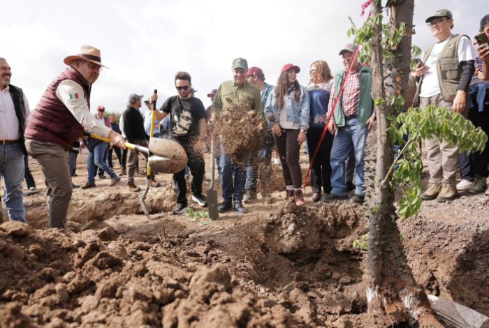 Avanza compromiso ambiental del Morebús con la plantación de 2 mil 500 árboles