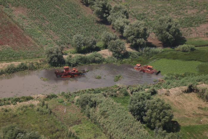 Avanza limpieza de canales en el lago de Pátzcuaro; empleos temporales devuelven su vida: Bedolla