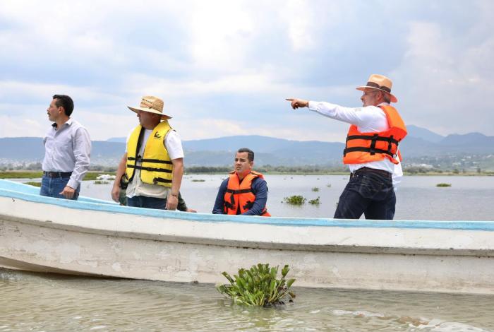 Avanza retiro de lirio en Presa Malpaís de Queréndaro; 500 hectáreas serán limpiadas: Bedolla