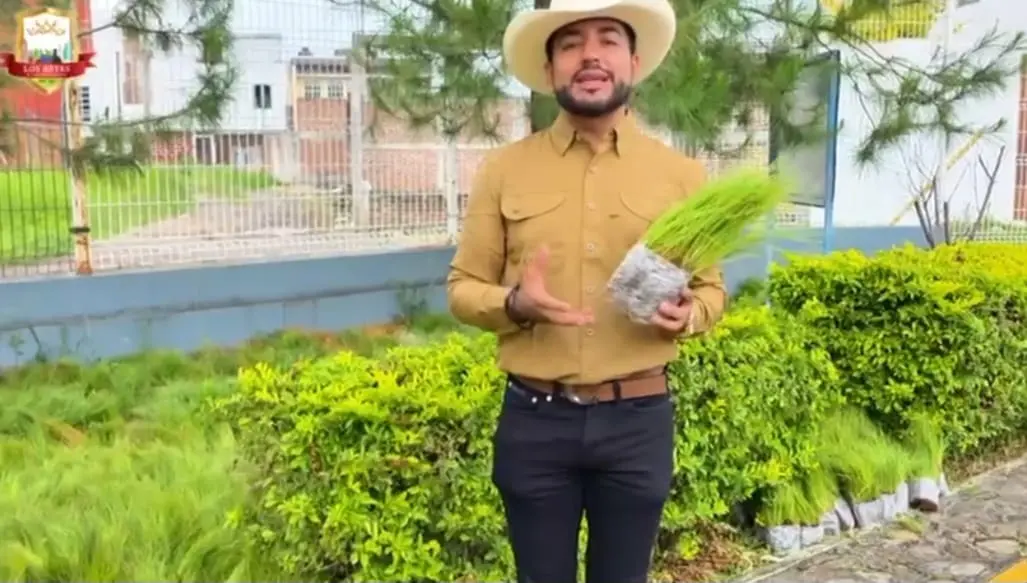 Ayuntamiento de Los Reyes impulsa la plantación de más de 80 mil árboles, Humberto Jiménez convoca a la población a participar