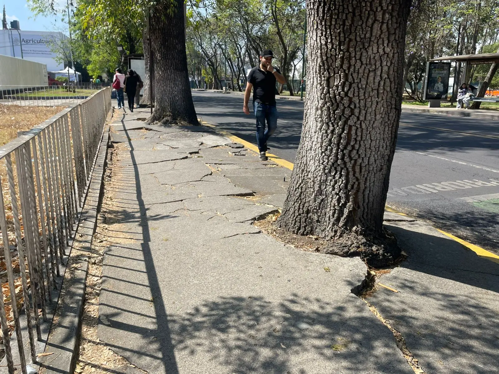 Banquetas destruidas amenazan la movilidad de transeúntes