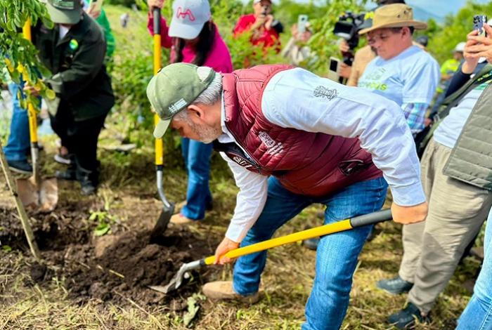 Bedolla instruye parar la poda de árboles y arranca reforestación de 3 mil ejemplares en Villas del Pedregal