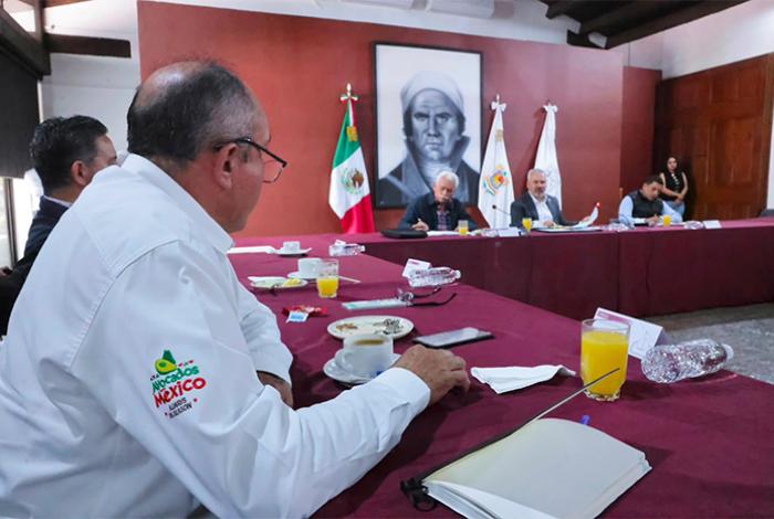 Bedolla y Apeam trazan ruta ambiental, de sanidad y seguridad para el aguacate