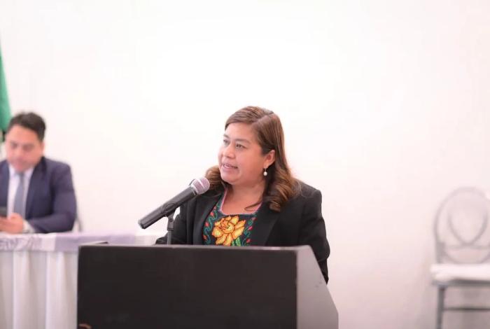 Belinda Iturbide propone ante el pleno  promover inclusión laboral de personas con discapacidad