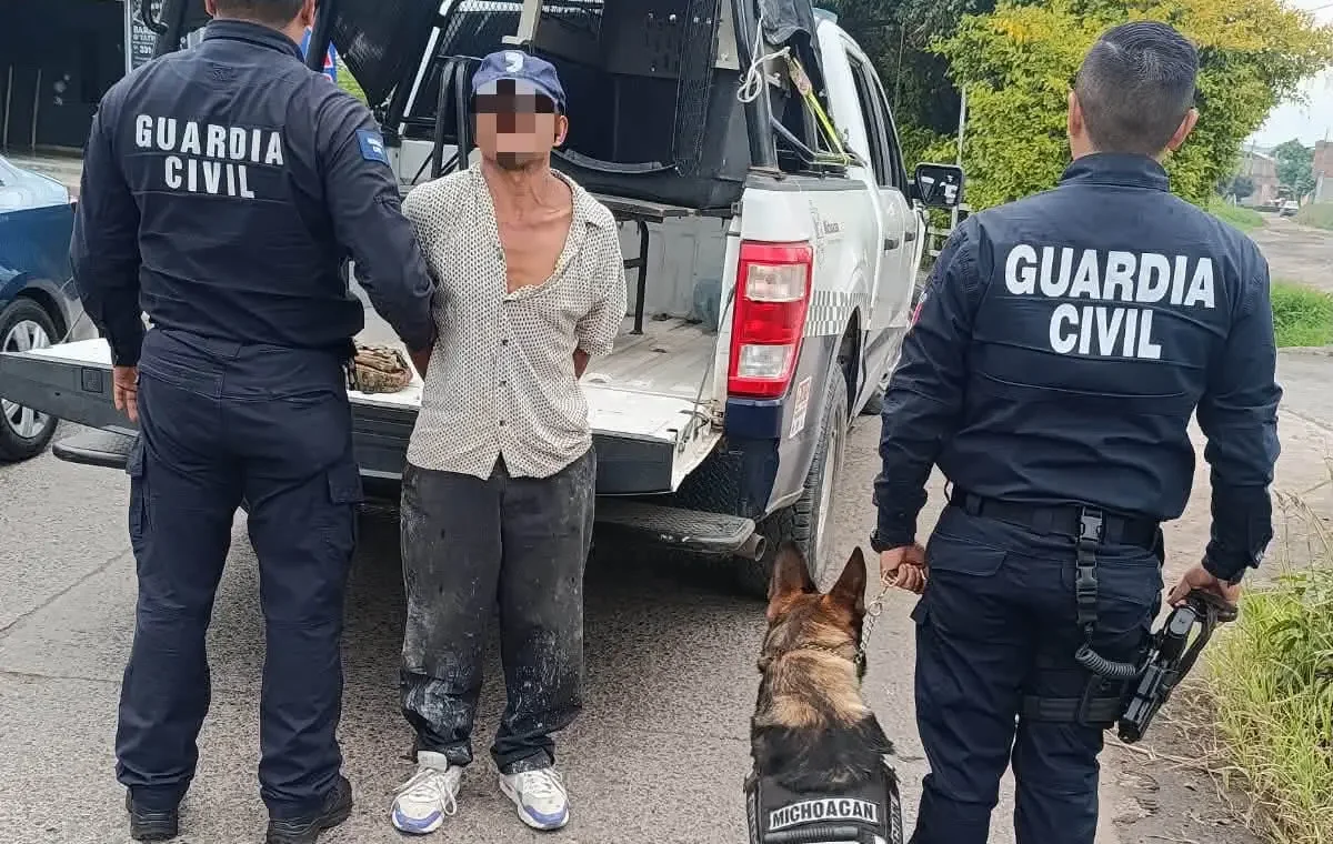 Binomio canino detecta posesión de mari huana en la colonia Gertrudis Sánchez