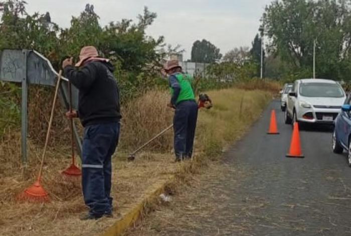 Brigadas de Servicios Públicos refuerzan poda y limpieza en vialidades de Morelia
