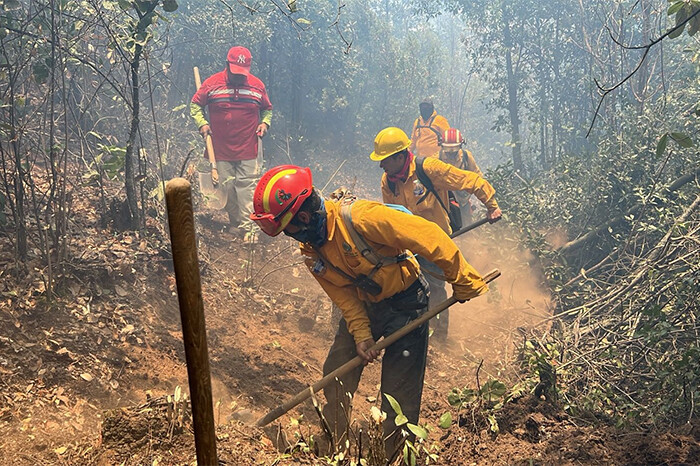  Brigadas forestales atienden 7 incendios y liquidan 2 más en Michoacán