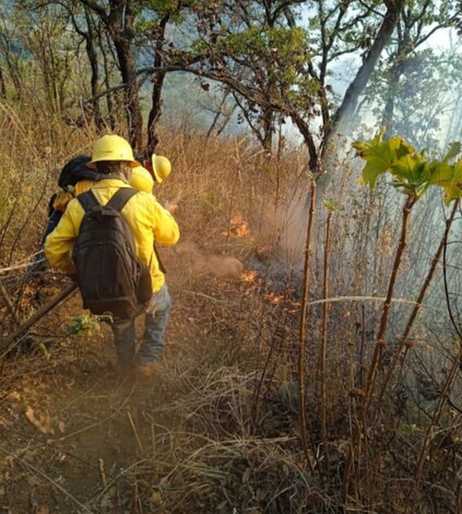 Brigadistas forestales apagan 4 incendios y atienden 3 más: Cofom