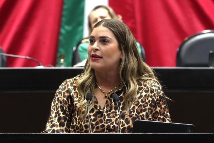 Busca iniciativa establecer protocolos de seguridad hospitalaria obligatorios para evitar robo o sustracción de recién nacidos