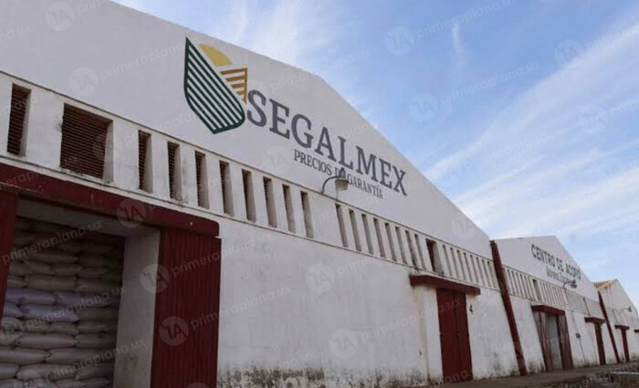 Buscan a ladrones de 250 toneladas de maíz, en Penjamillo