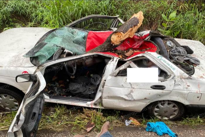 Caída de árbol en carretera de Tacámbaro deja un mu3rto y tres lesi0nados