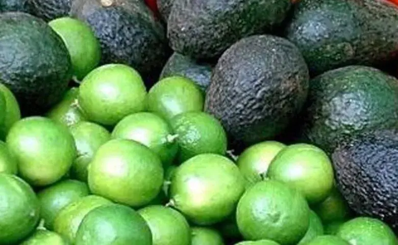Caída en precios del aguacate y limón, por sobreproducción y lluvias, insiste Bedolla