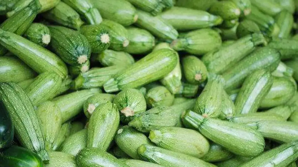 Calabaza podría alcanzar hasta 70 pesos por kilo durante temporada de lluvias