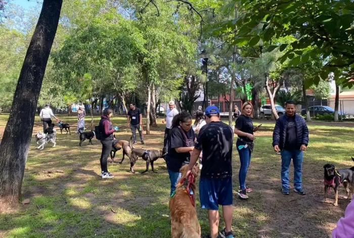 Caminata nocturna y colecta de alimentos para refugios animalistas el próximo sábado en Morelia