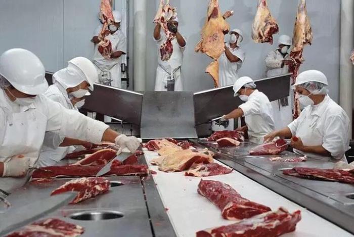 Cancilleres de Paraguay y México conversan sobre importar carne del país sudamericano